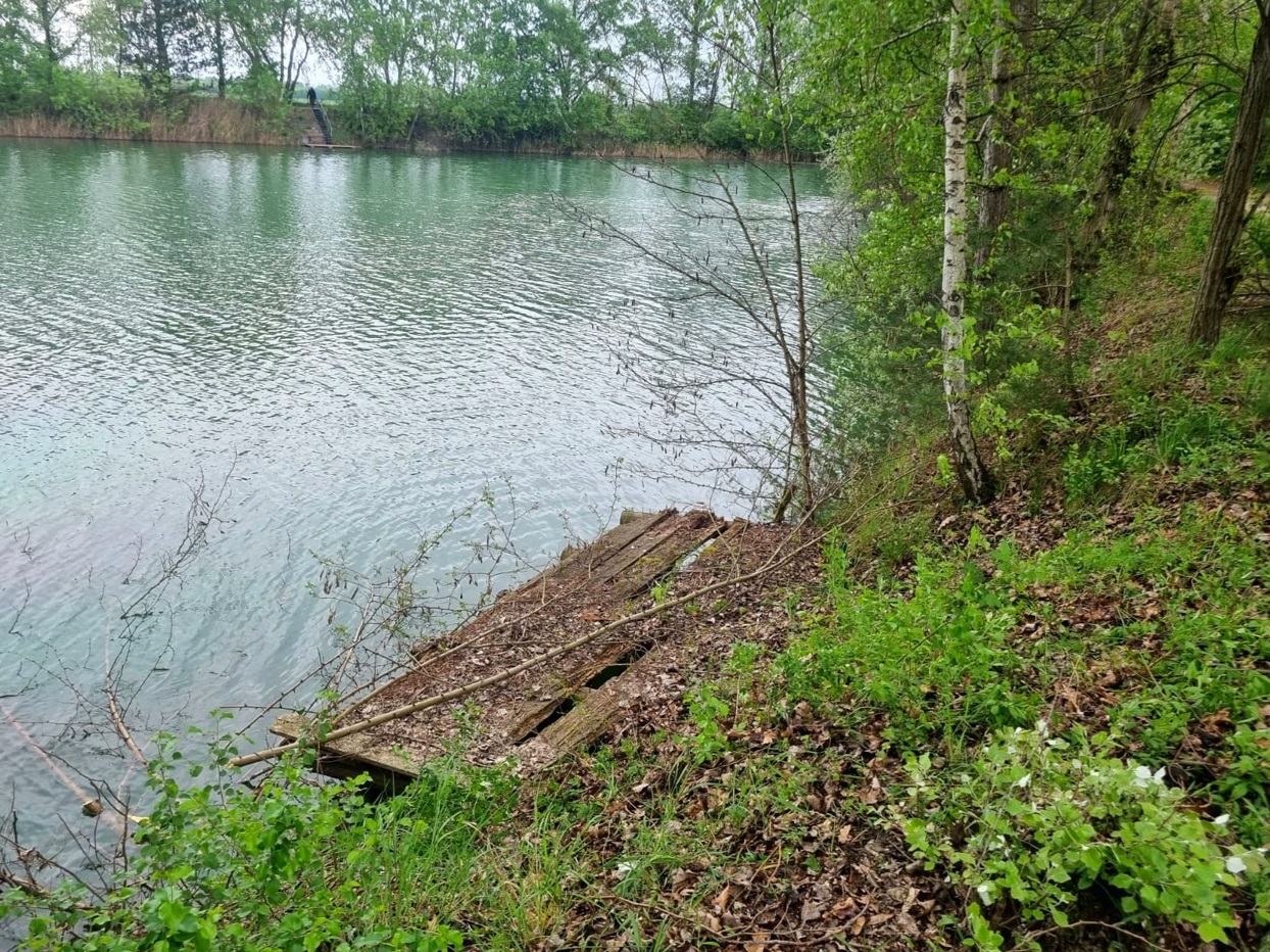 Teichreinigung_09a