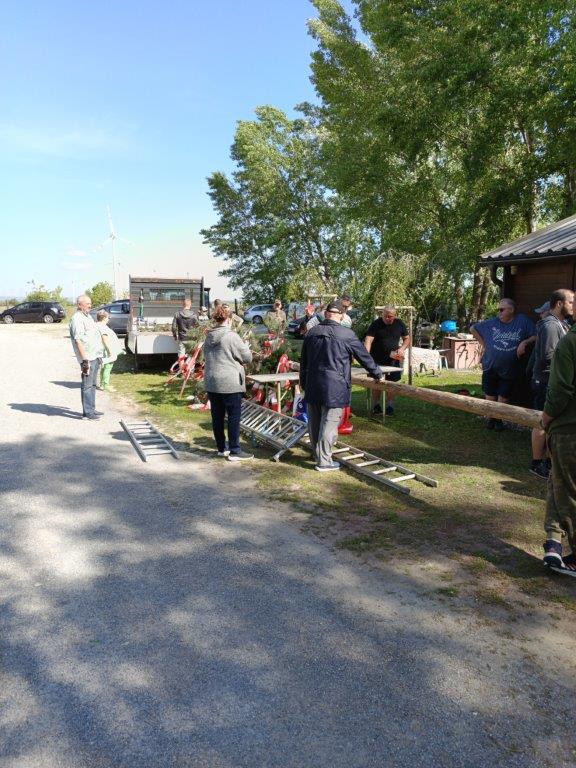 Maibaum_2024 (1)
