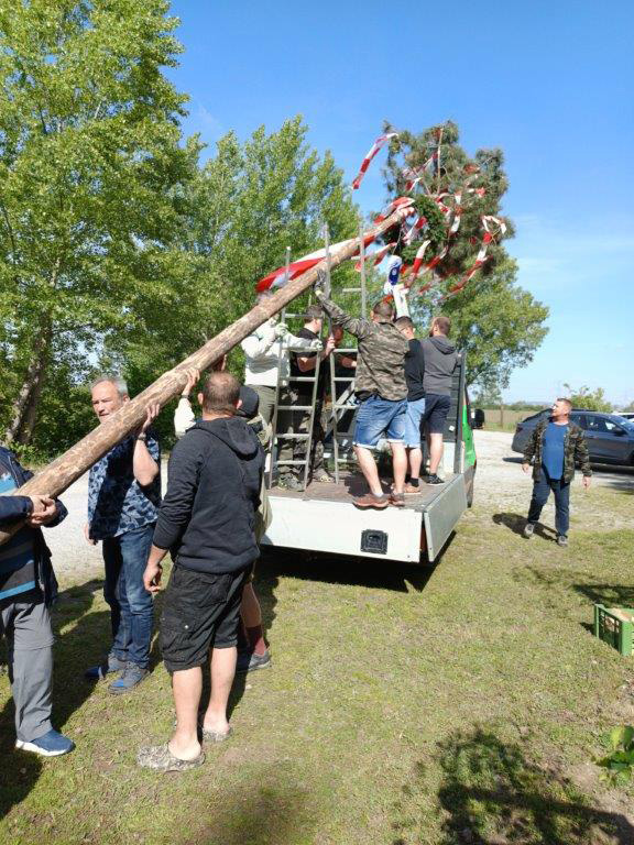 Maibaum_2024 (2)