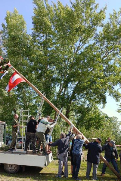 Maibaum_2024 (5)