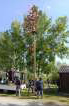 Maibaum_2024 (10)