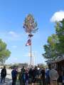 Maibaum_2024 (12)