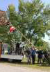 Maibaum_2024 (5)