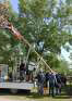 Maibaum_2024 (6)