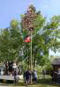 Maibaum_2024 (9)