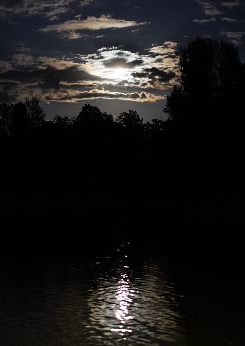 Teich (13)