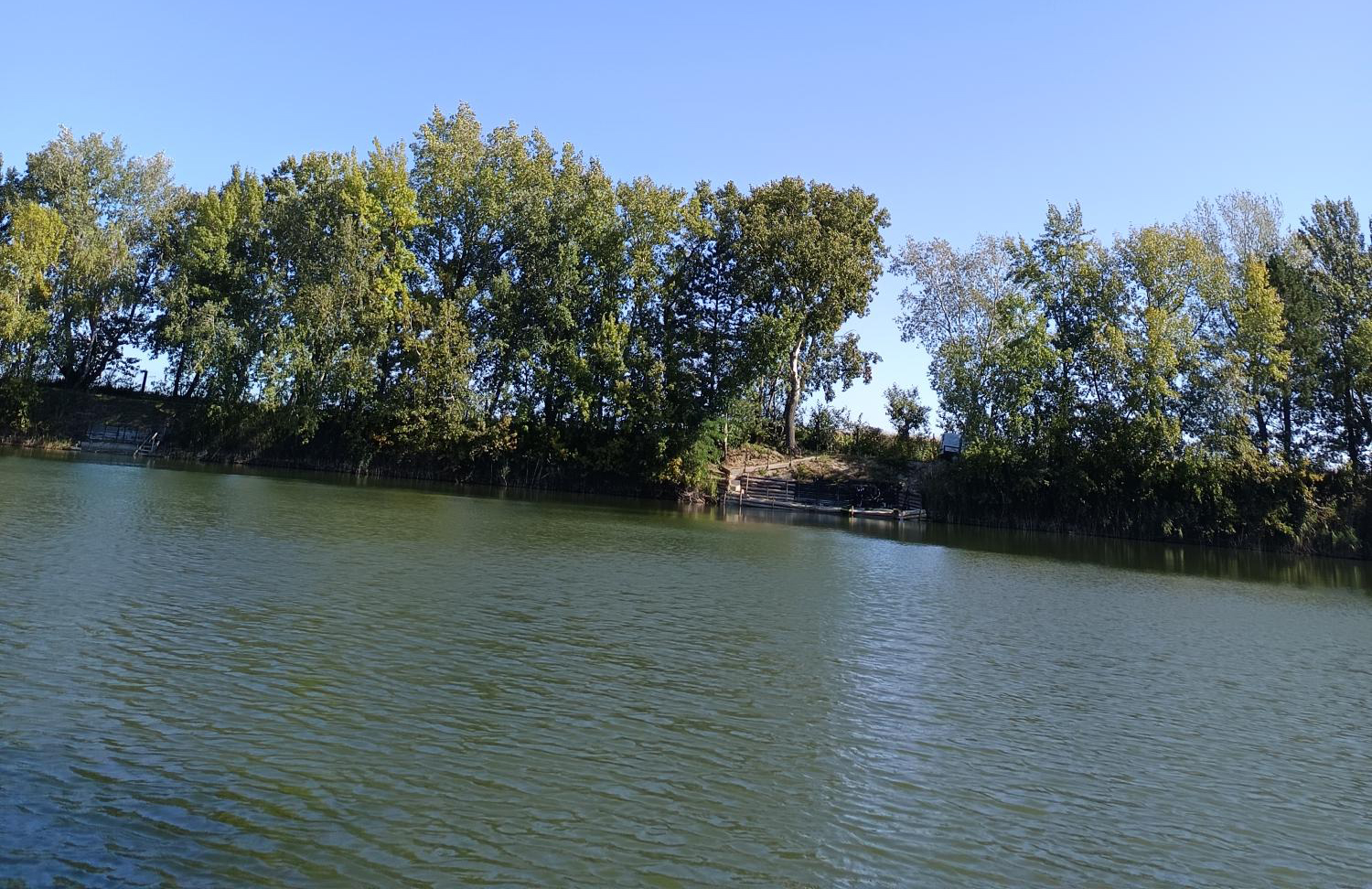 Teichbilder_2025 (9)