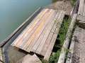 Teichbilder_2025 (3)