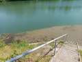 Teichbilder_2025 (5a)