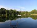 Teichbilder_2025 (8)