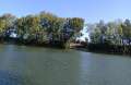 Teichbilder_2025 (9)