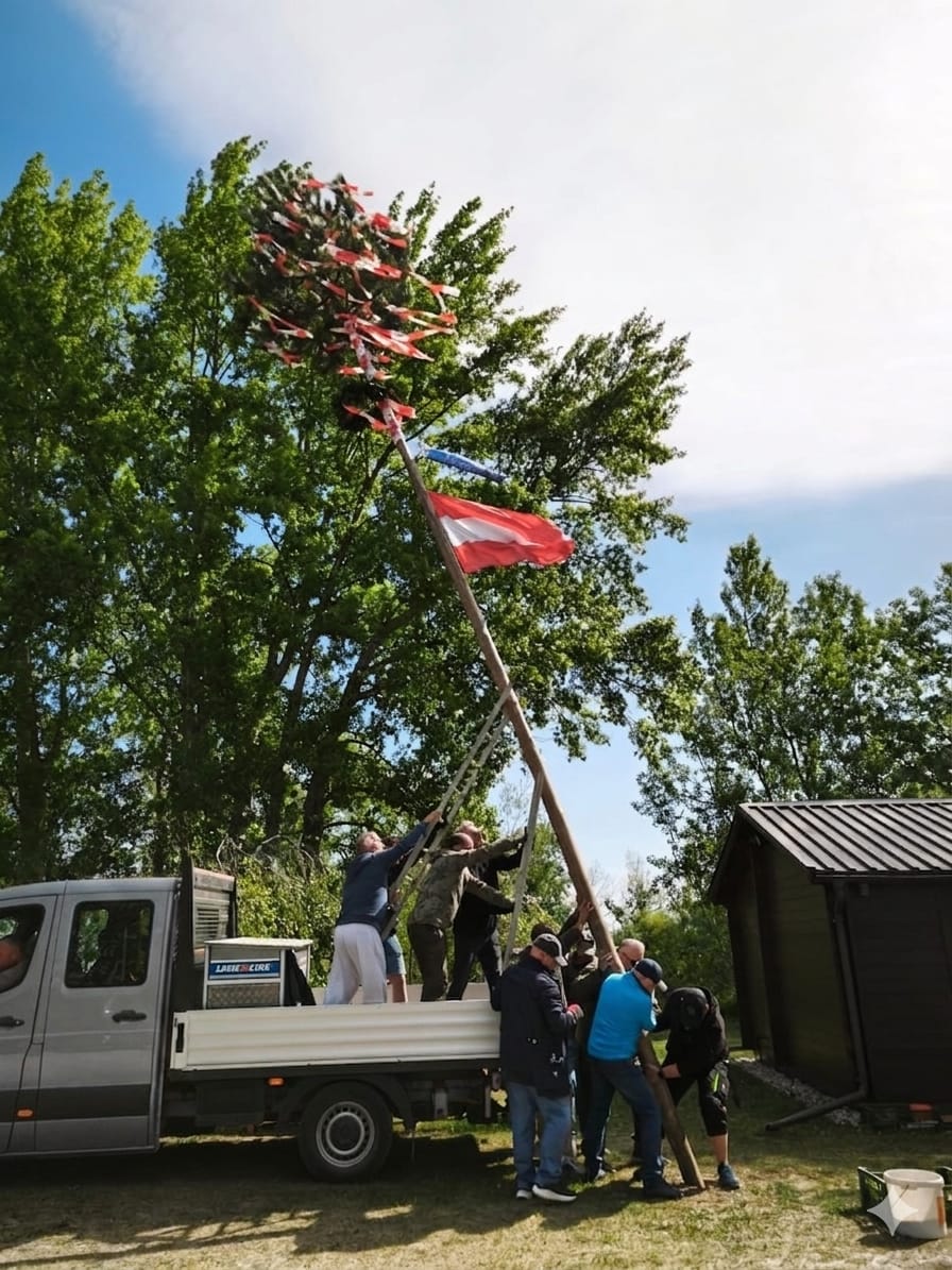 Maibaum 2026_2