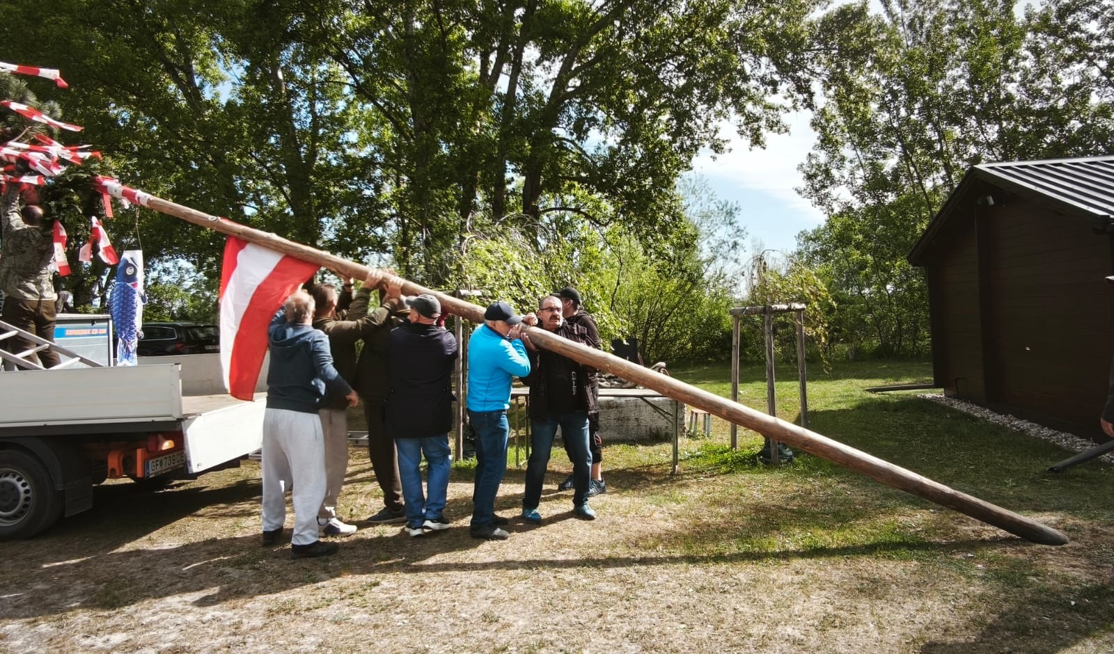 Maibaum 2026_5