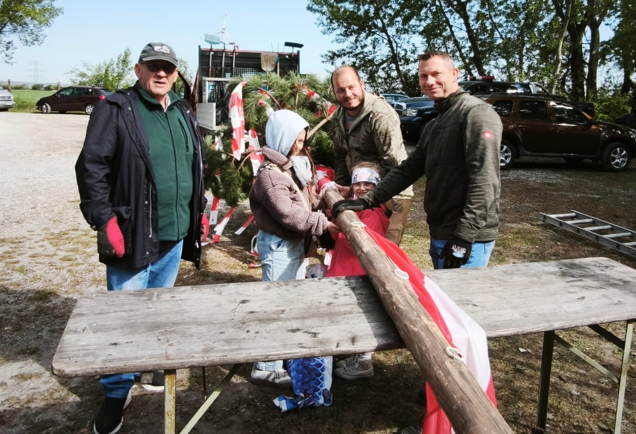 Maibaum 2026_8