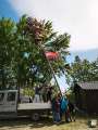 Maibaum 2026_2