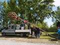 Maibaum 2026_4