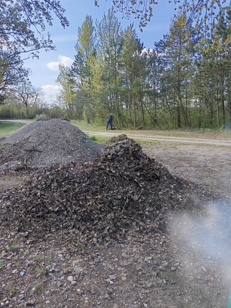 Teichreinigung_ (9)
