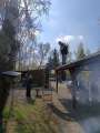 Teichreinigung_ (11)