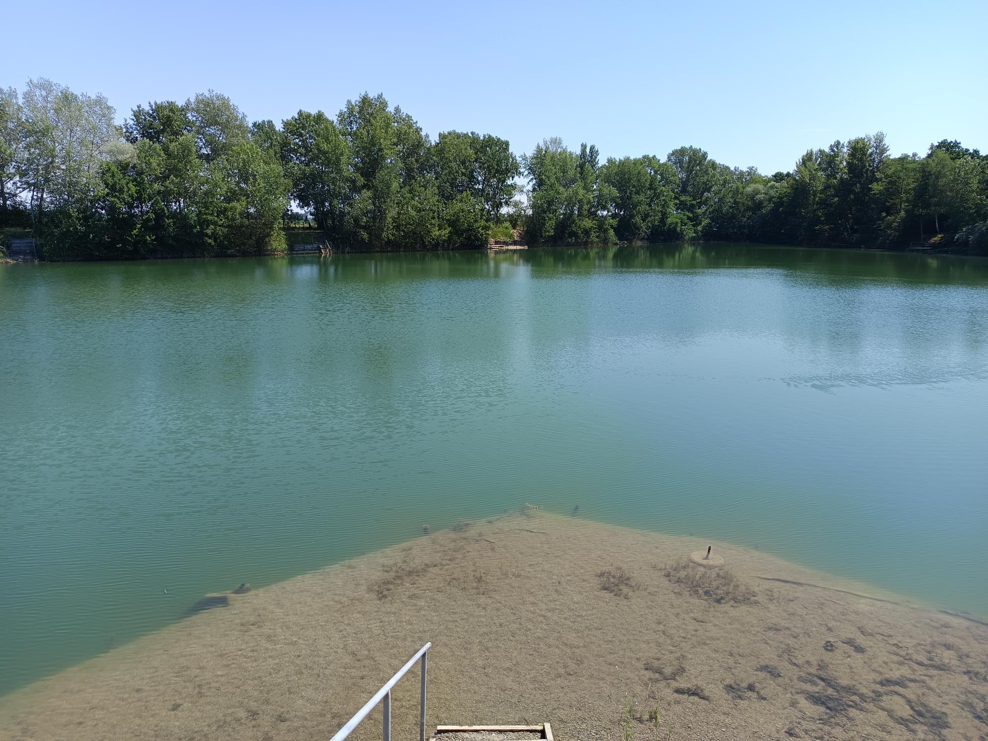 Teichbilder_2025 (1)