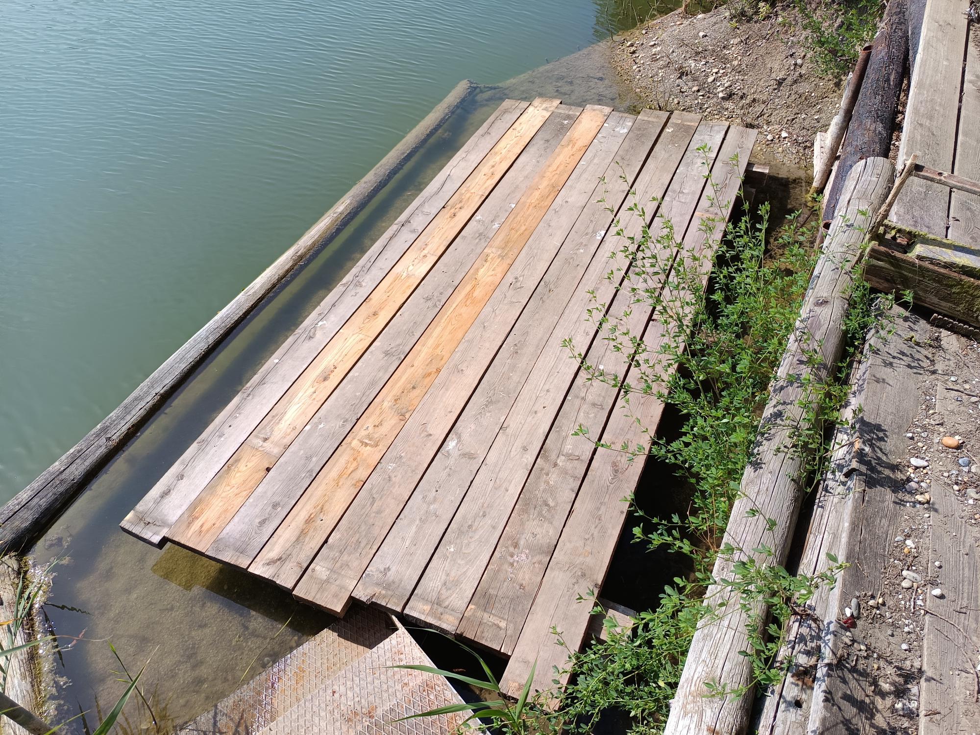 Teichbilder_2025 (3)