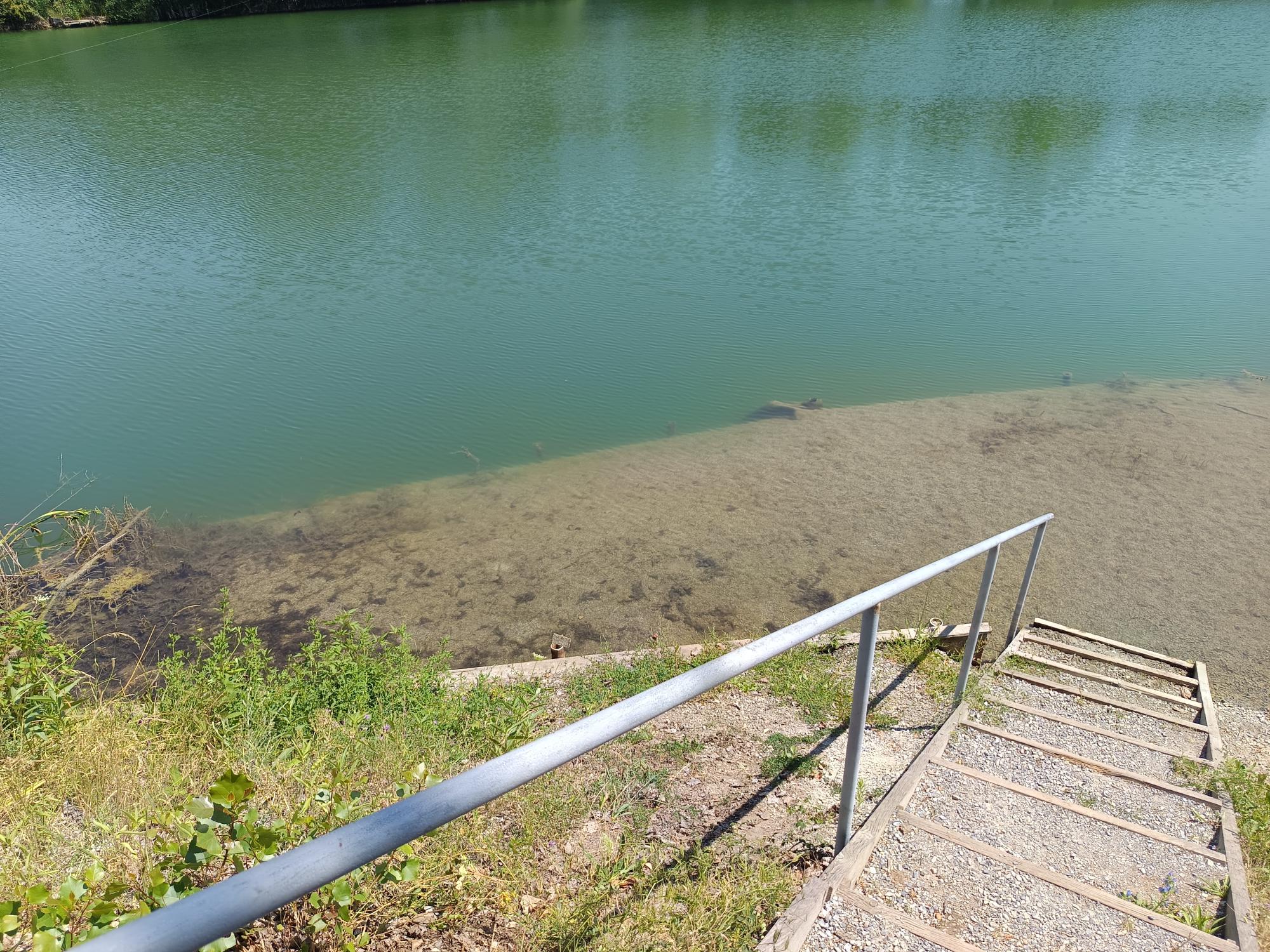 Teichbilder_2025 (5)